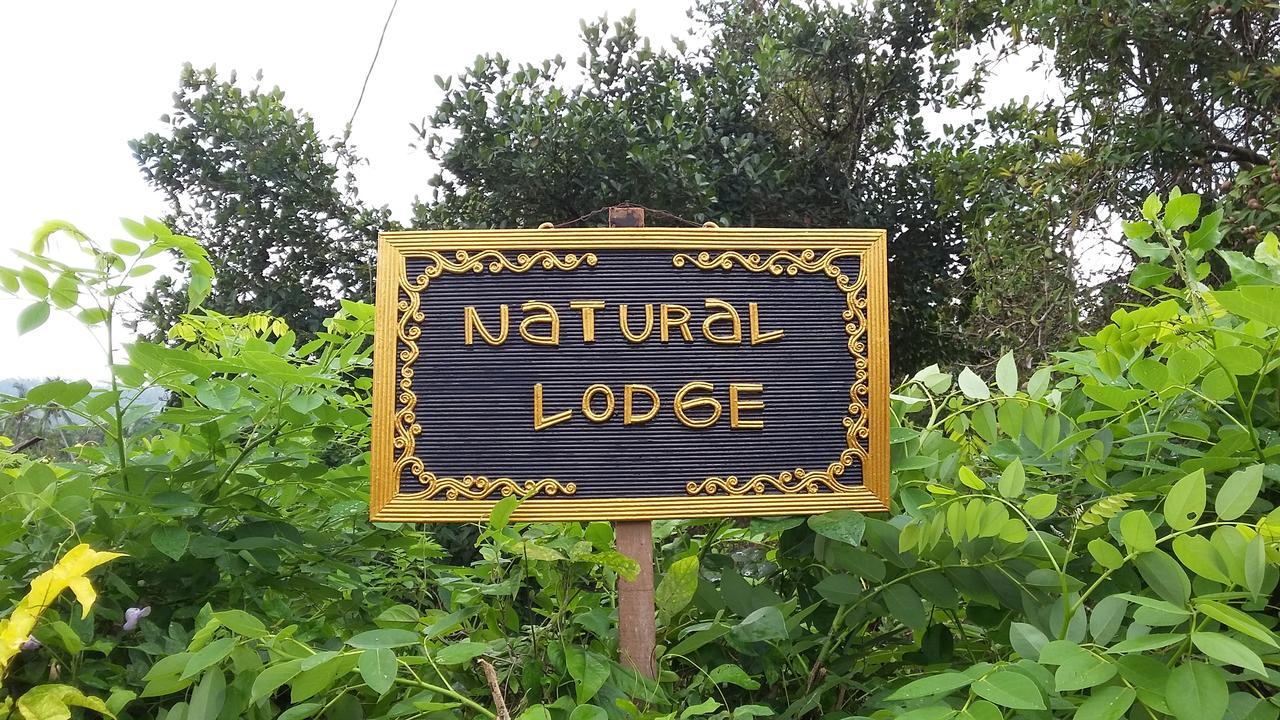 Natural Lodge 2 Selemadeg  Exteriér fotografie